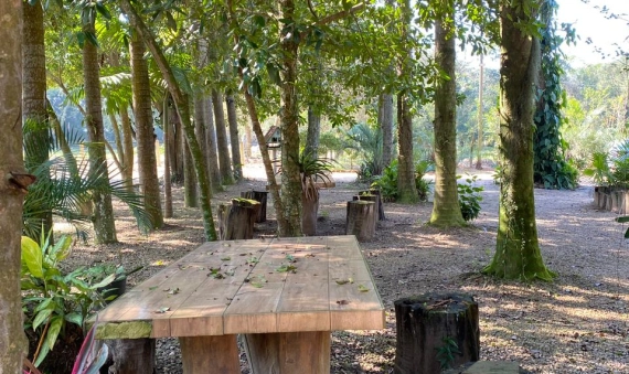 SITIO, BALNEÁRIO TORNEIRO - JAGUARUNA