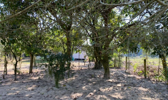 SITIO, BALNEÁRIO TORNEIRO - JAGUARUNA