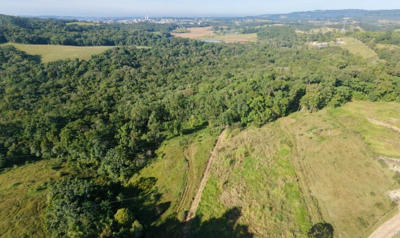 TERRENO - COCAL DO SUL - RIO GALO