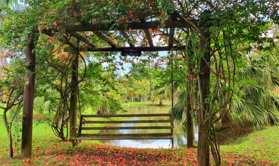 TERRENOS, CONDOMÍNIO RES. SANTA MARTA - DEMBOSKI, IÇARA