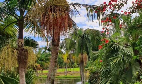 TERRENOS, CONDOMÍNIO RES. SANTA MARTA - DEMBOSKI, IÇARA