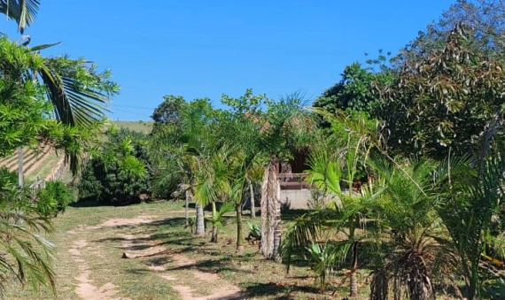 SITIO, COQUEIROS-IÇARA