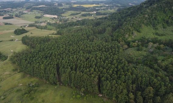 TERRENO, SÃO DOMINGOS - CRICIÚMA