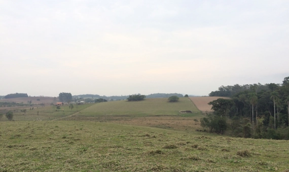 TERRENO - LINHA BATISTA, MORRO DA FUMAÇA