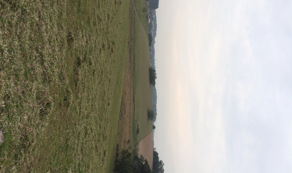 TERRENO - LINHA BATISTA, MORRO DA FUMAÇA