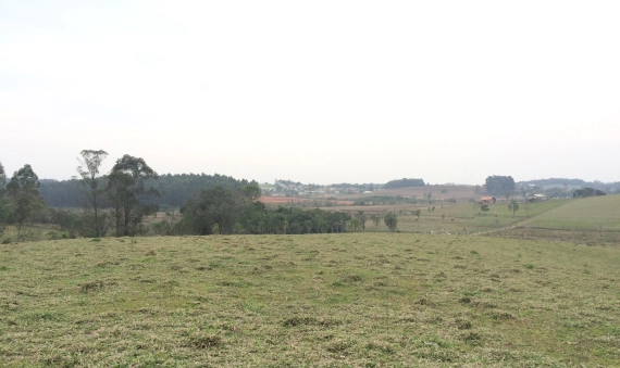 TERRENO - LINHA BATISTA, MORRO DA FUMAÇA