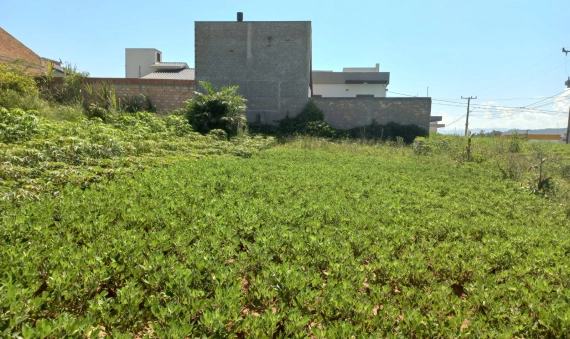 TERRENO - NOVO HORIZONTE, DEMBOSKI - IÇARA 