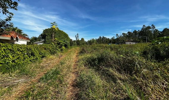 SÍTIO - MORRO ESTEVÃO, CRICIÚMA