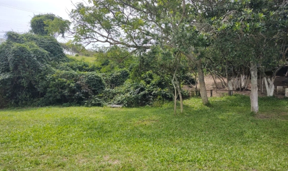 TERRENO - LAGOA DOS ESTEVES, BALNEÁRIO RINCÃO