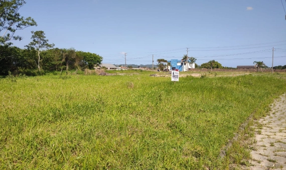TERRENO - NASPOLINI, MORRO DA FUMAÇA
