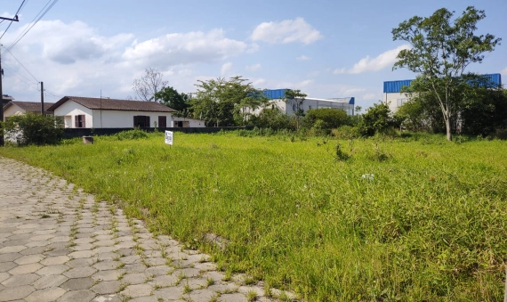 TERRENO - NASPOLINI, MORRO DA FUMAÇA