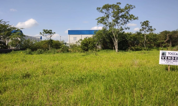 TERRENO - NASPOLINI, MORRO DA FUMAÇA