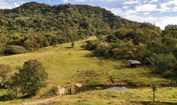ÁREA INDUSTRIAL - SÃO DOMINGOS, CRICIÚMA