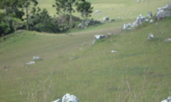 TERRENO - BOM JARDIM DA SERRA