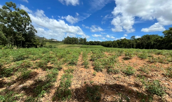 SÍTIO - SÃO DOMINGOS - CRICIÚMA