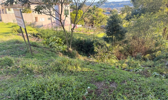 TERRENO - METROPOL, CRICIUMA