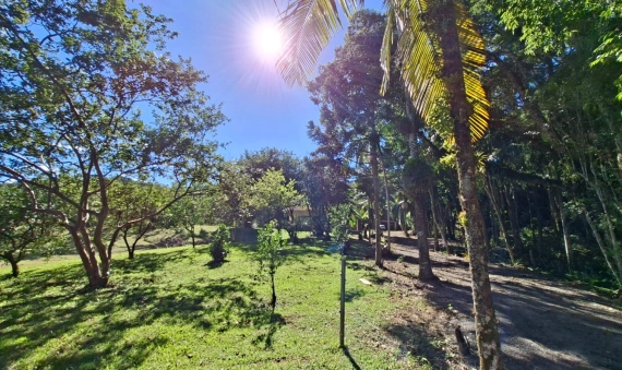 SITIO - SÃO BONIFÁCIO - NOVA VENEZA