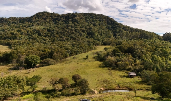 ÁREA INDUSTRIAL - SÃO DOMINGOS, CRICIÚMA