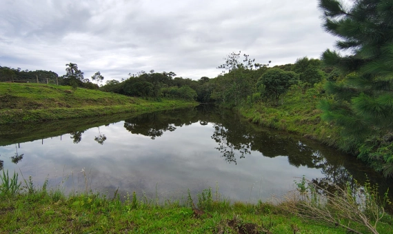 SITIO - COXIA RICA - URUSSANGA