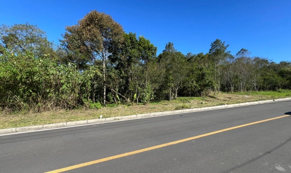 TERRENOS - LARANJINHA, CRICIÚMA