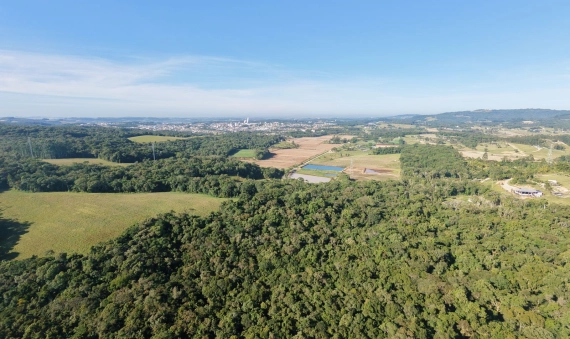 TERRENO - COCAL DO SUL - RIO GALO