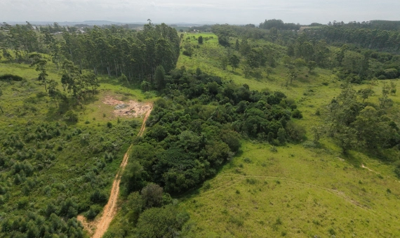 SÍTIO - LOMBAS PEDREIRAS, IÇARA