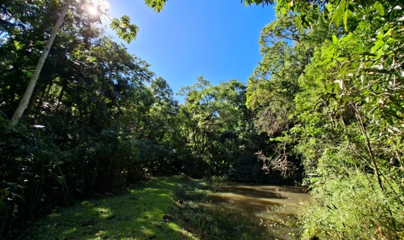 SITIO - SÃO BONIFÁCIO - NOVA VENEZA