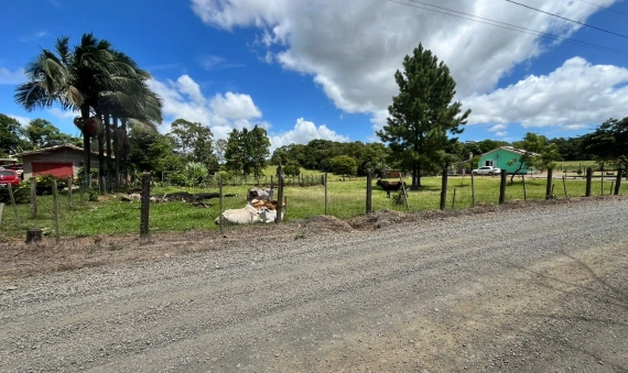 SÍTIO - SÃO DOMINGOS - CRICIÚMA