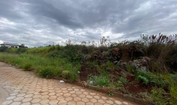 LOTE - VILA CECHINEL II, SÃO DEFENDE, CRICIÚMA