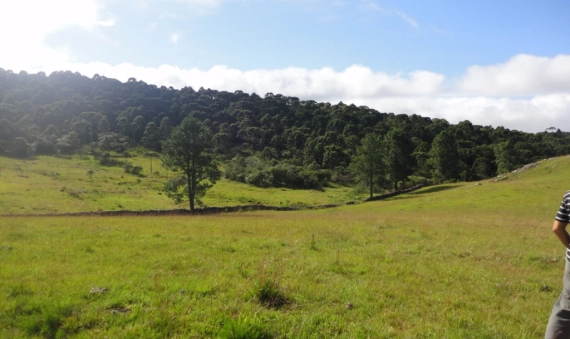 TERRENO - BOM JARDIM DA SERRA