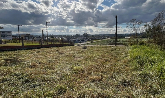 TERRENO - TEREZA CRISTINA - IÇARA