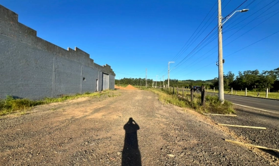 TERRENO - MORRO ALBINO 