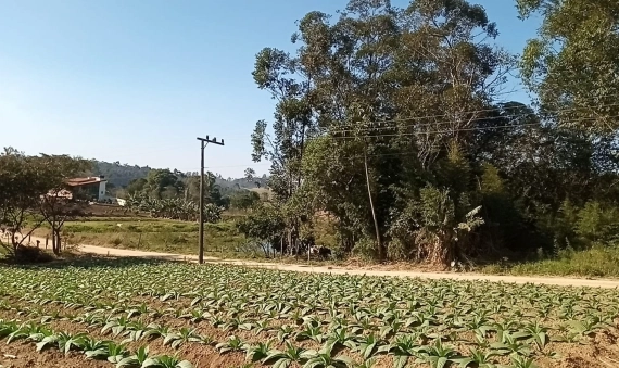 TERRENO - NOVO CARAVAGIO - IÇARA