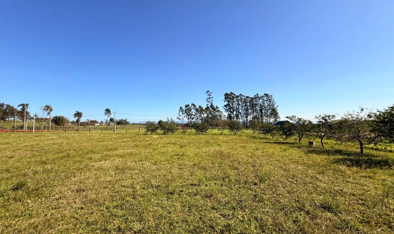 SITIO - COQUEIROS, IÇARA