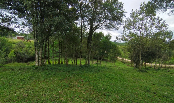 SITIO - COXIA RICA - URUSSANGA