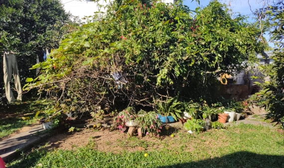 TERRENO - ANA MARIA, CRICIÚMA