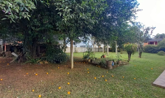 DOIS TERRENOS, SENDO 01 COM CASA - JARDIM DAS PAINEIRAS, CRICIÚMA