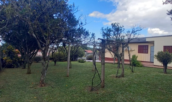 DOIS TERRENOS, SENDO 01 COM CASA - JARDIM DAS PAINEIRAS, CRICIÚMA