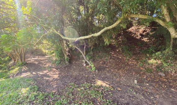 CASA - LAGOA DOS ESTEVES, BALNEÁRIO RINCÃO