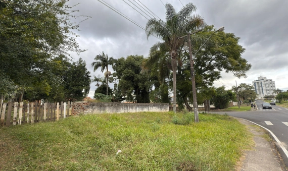 TERRENO - BRASÍLIA, CRICIÚMA