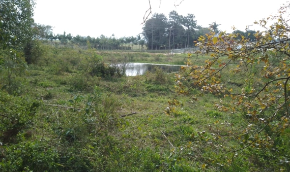 TERRENO - NOVO CARAVAGIO - IÇARA