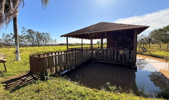 SITIO - COQUEIROS, IÇARA