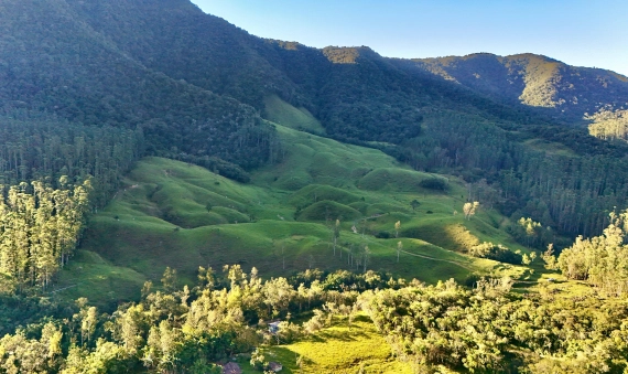 TERRENO - BARRO BRANCO - LAURO MULLER