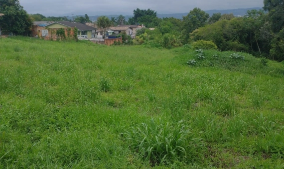 TERRENO - MILANESE - CRICIÚMA
