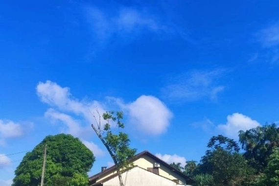 Tempo em Joinville: veja como fica a previs&atilde;o para esta quarta-feira