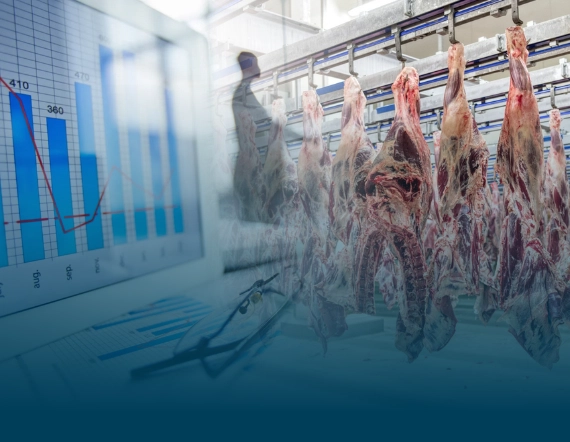 Quanto vale 10 gramas no seu processo? Com certeza, mais do que você imagina!