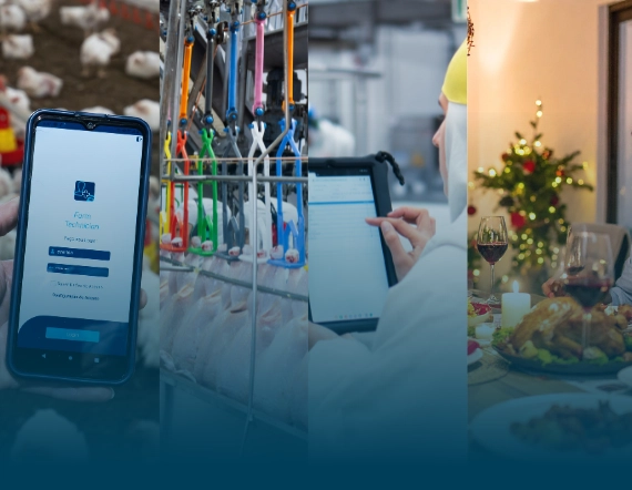 Do campo &agrave; mesa: como a integra&ccedil;&atilde;o de processos fortalece a cadeia agroindustrial