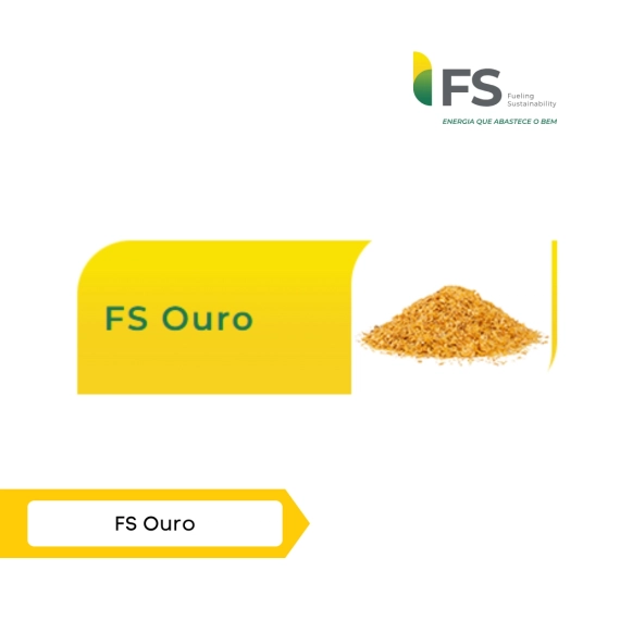 FS Ouro