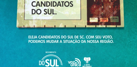 Balan&ccedil;o da Campanha &ldquo;Do Sul pelo Sul&rdquo; &eacute; considerado positivo