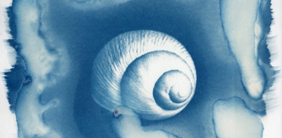 Projeto Cultura Acic recebe nova exposi&ccedil;&atilde;o nesta quinta-feira